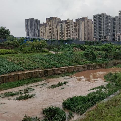 重庆大学城钓鱼攻略的长尾关键词有什么