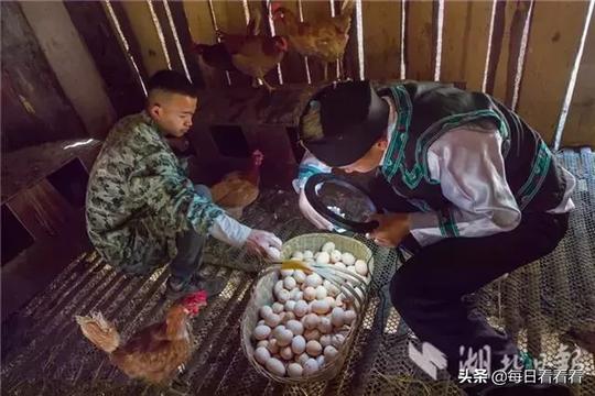 利川乡土“网红”带火电商
