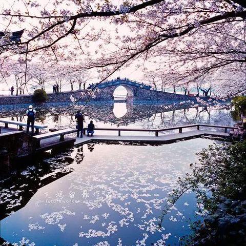 无锡市捐献遗体管理的长尾关键词有什么