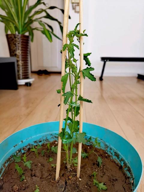夏天给孩子洗几次澡合适