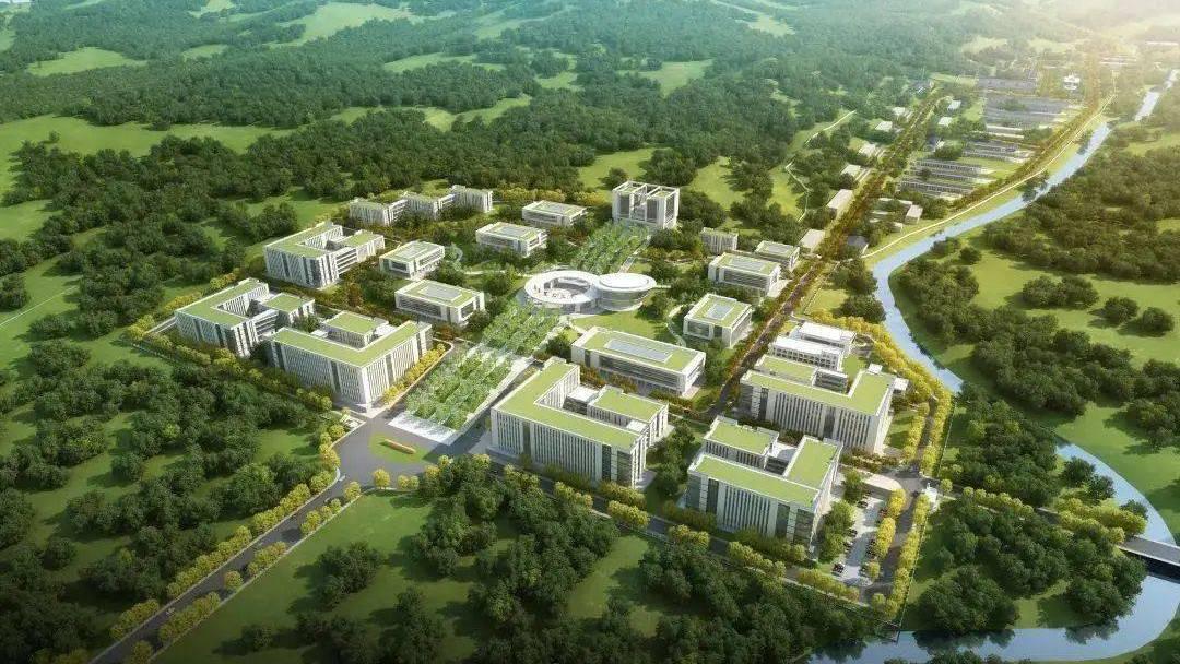 2025年985大学排行榜揭晓：这些学校跻身前十！