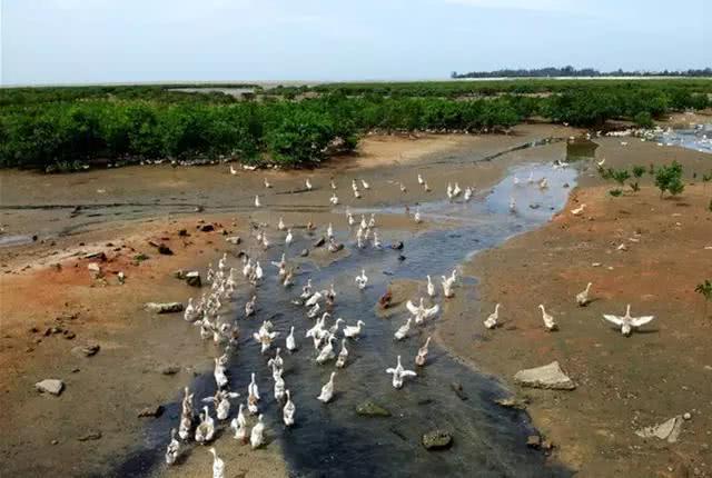广西海边旅游景点排行榜：海滨风光一网打尽！
