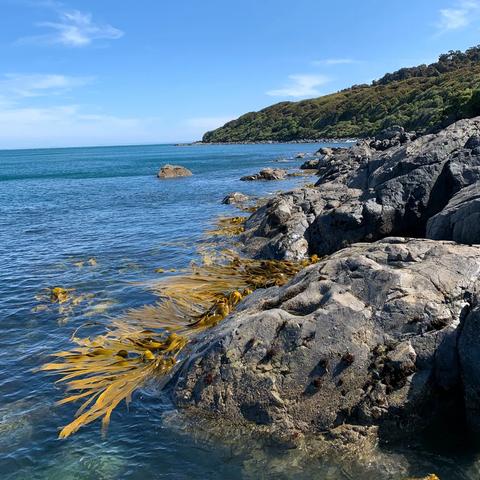 新西兰距中国多少公里？