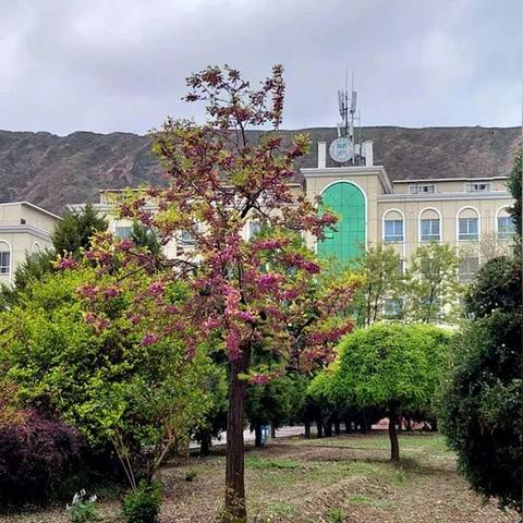 兰州市职业技工学校在哪个区