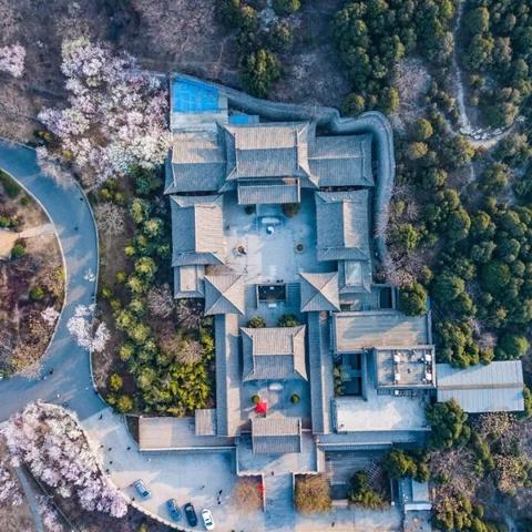 济南市哪里有桃园小区