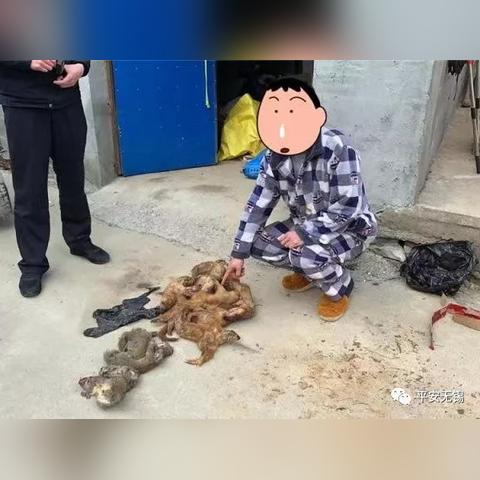 无锡市野生公园地址在哪里