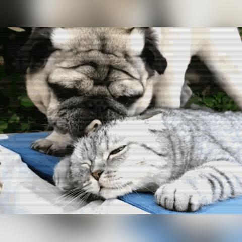 足球比赛中用舌头舔球的长尾关键词有什么