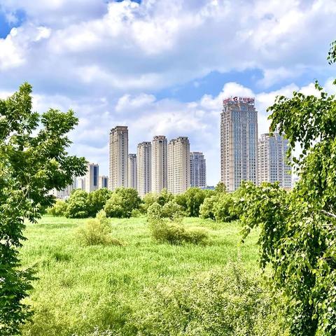 哈尔滨最好的公园相关长尾关键词有哪些