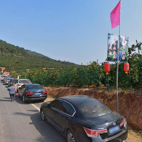 武汉市最大的山是什么山