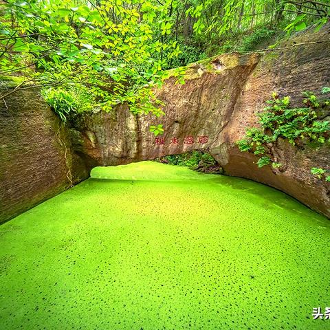 宁波奇异电子有限公司的相关长尾关键词有哪些