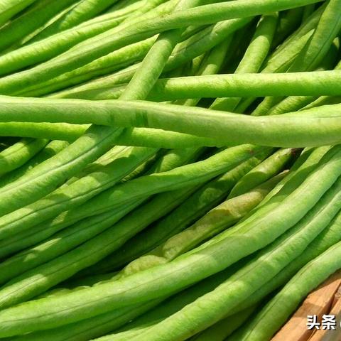 超市的蔬菜怎么没虫眼？