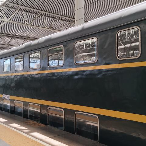 成都市手机上社保怎么交