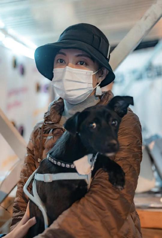孙俪带儿女路边摆摊义卖，救助流浪动物获点赞，但商品定价惹争议