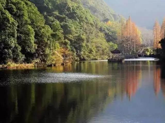 临海传统美食有什么（临海小吃排行榜前十名）