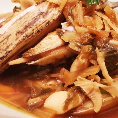 宁波市禁渔期是什么时间