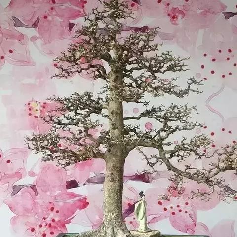 福建是怎么样繁殖的