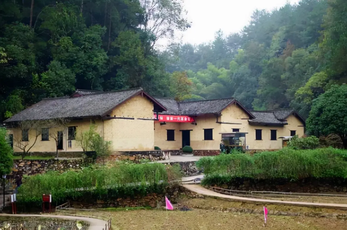 6月1号起学驾照可以吗 6月1号起要做核酸吗