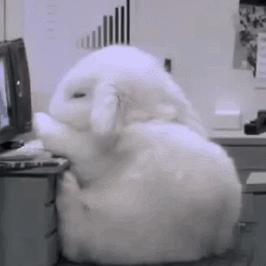 广州hangover酒吧在哪相关长尾关键词有哪些