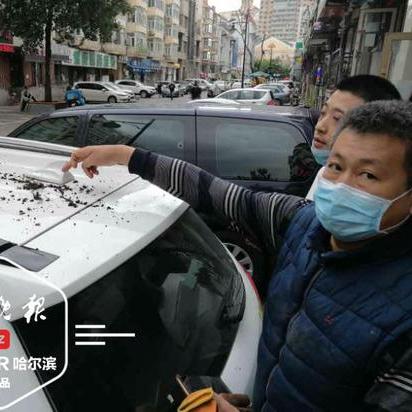 哈尔滨gl8相关长尾关键词有哪些