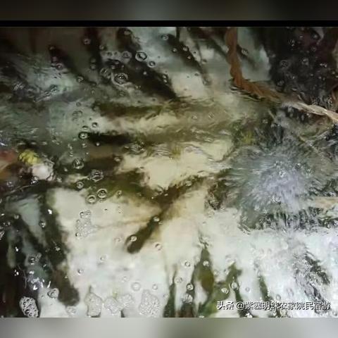 天津水库哪个好玩一点