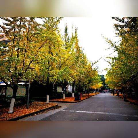 桂林市地图旅游景点相关长尾关键词有哪些