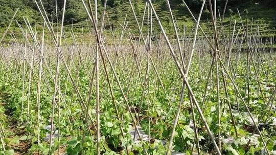 10个农业失败案例，你死在了第几个？