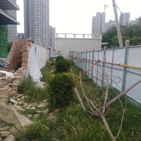 西安车让人处罚标准？