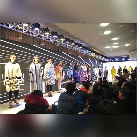 哈尔滨kc皮草价格相关长尾关键词有哪些