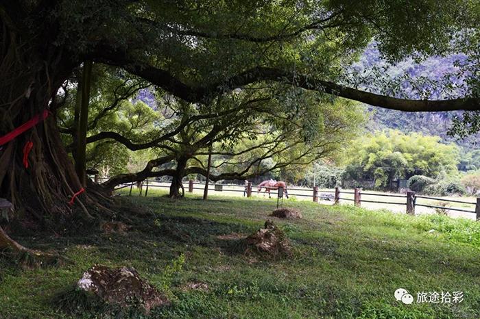 永久标识牌图片大全怎样知道自家的地是不是基本农田