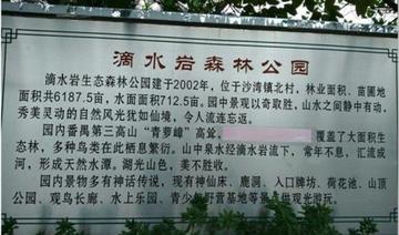 广州森林公园相关长尾关键词有哪些