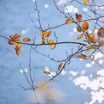 天气在线长沙的长尾关键词有哪些