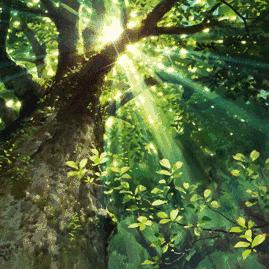 沈阳玩年卡相关长尾关键词有哪些