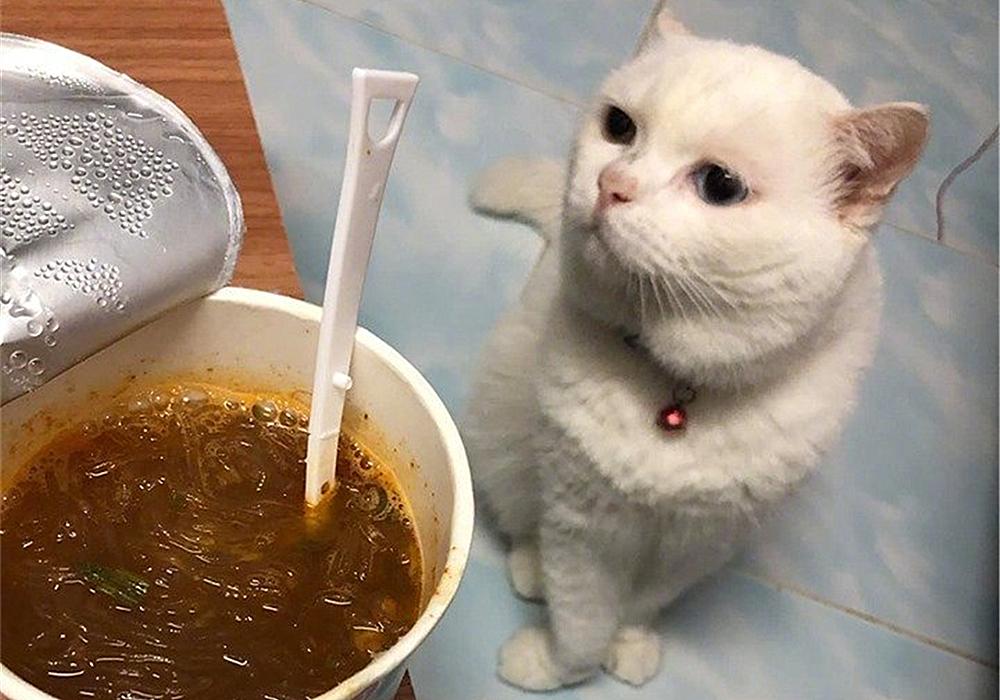 意大利为什么美食多多（意大利巴拉利尼的不粘锅怎么样）