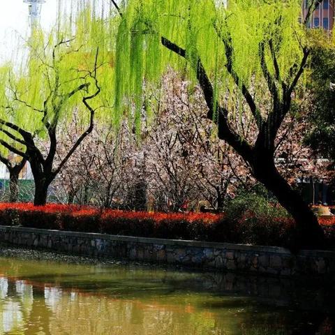 上海南到桂林动车时刻表相关长尾关键词有哪些