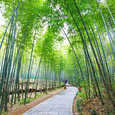 荣昌最新天气预报的长尾关键词有哪些