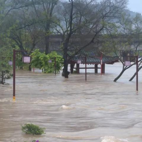 现在桂林市哪里涨水了
