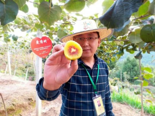 返乡创业缺投资？农村4类项目竞争对手少，可白手起家淘第一桶金