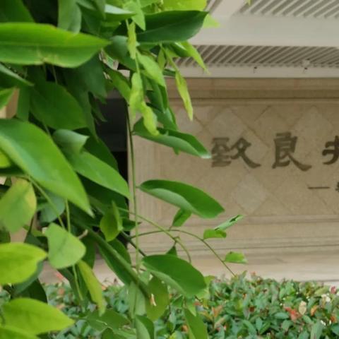 无锡市积极德育故事公告的长尾关键词有什么