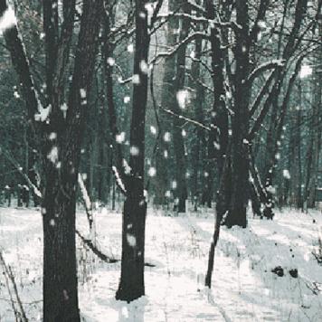 哈尔滨市每年下雪多少天