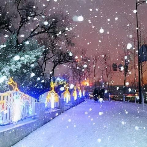 哈尔滨下大雪了吗？