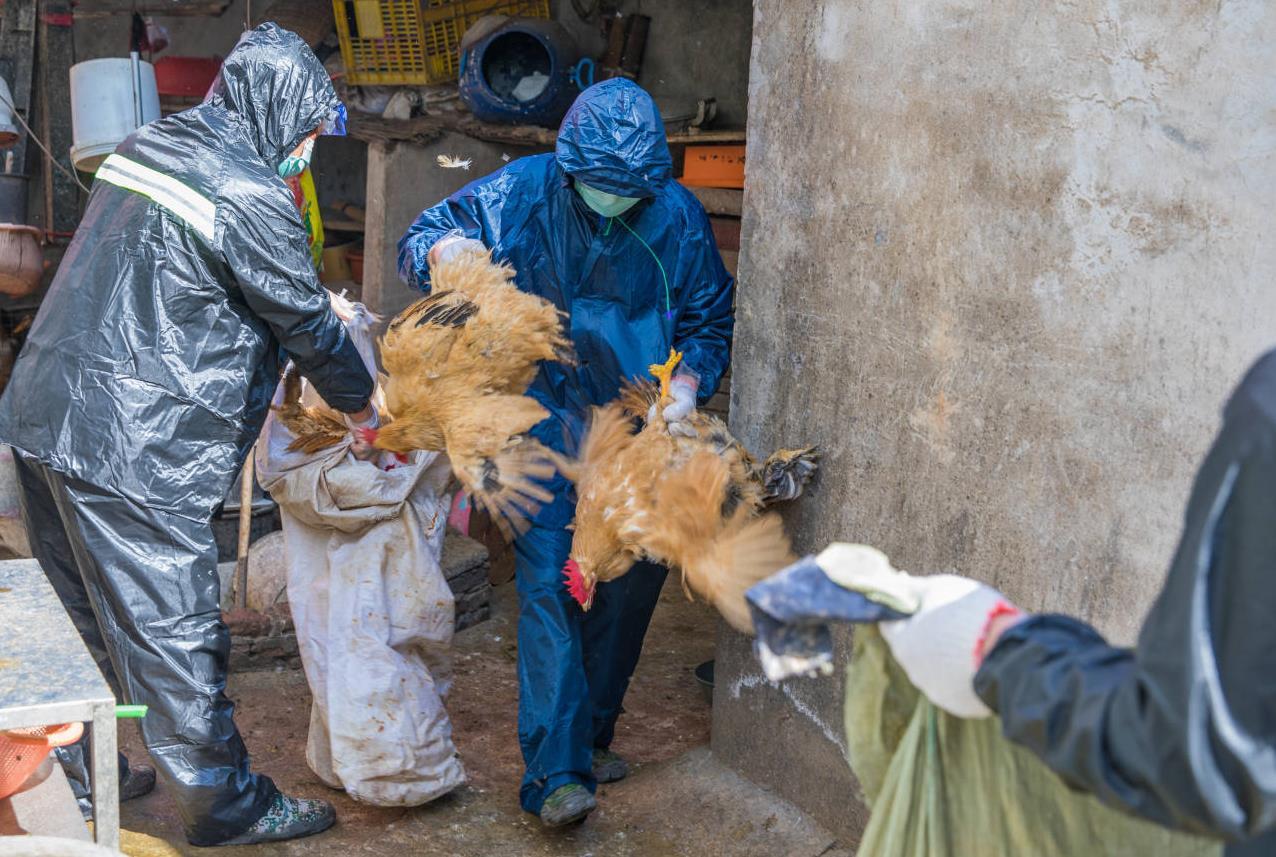 广东深圳最新疫情
 /广东深圳最新疫情今天