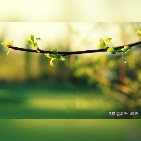这个天气什么时候晴