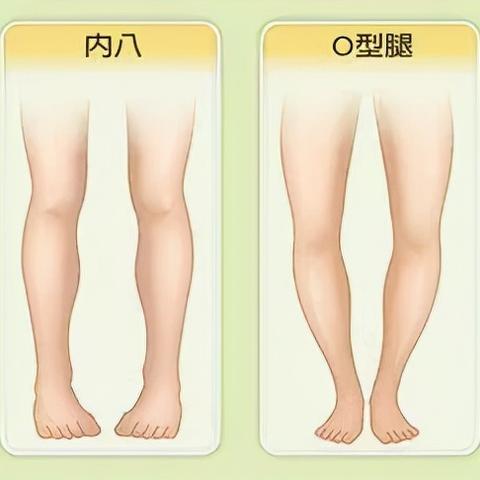 八字头字有哪些字体图片_八字头的字有哪些的字有哪些字(八字头的字有什么字)