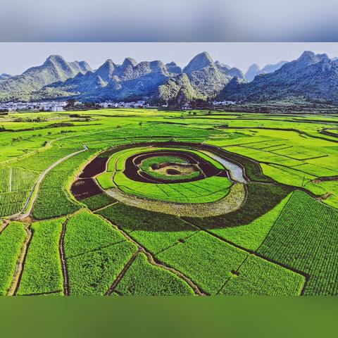 稻香重庆大学城的长尾关键词有哪些