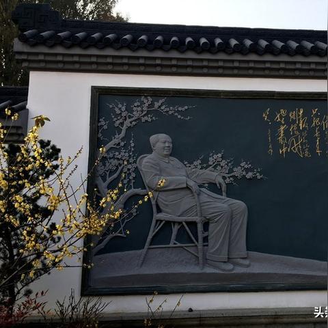 武汉市市花和市树是什么
