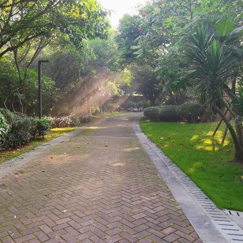 厦门市厕所协会什么级别