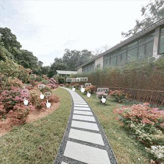 广州常见的绿化植物有哪些？