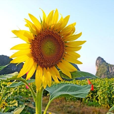 桂林市阻燃地毯有哪些