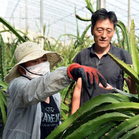 南方人冬天怕冷怎么办