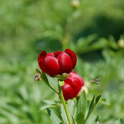 8到9月份生肖运势表(九月份生肖运势2021)